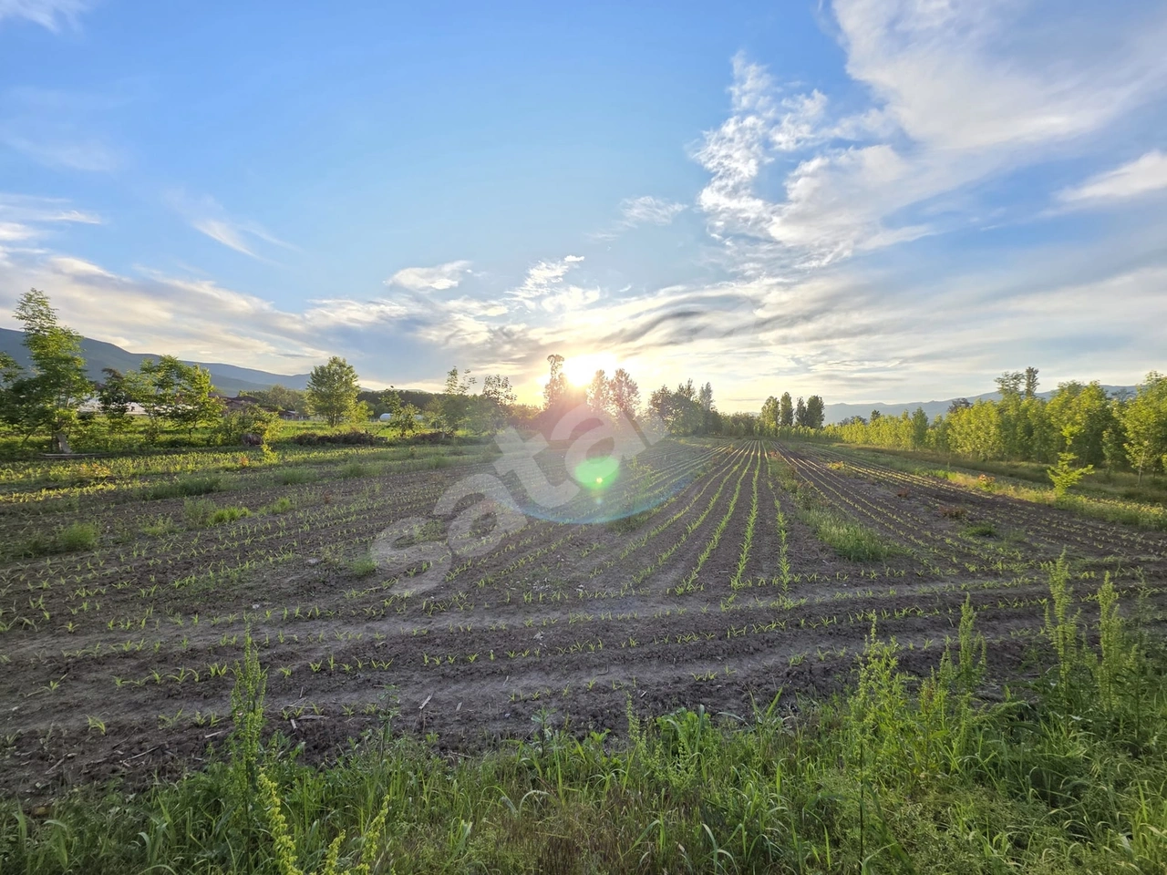 6775 m2 YOL KENARI SATILIK FIRSAT TARLA