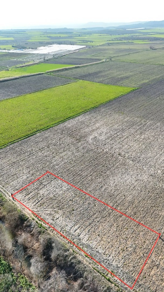 FİX'TEN HALITLI'DA SATILIK 1237M² MÜSTAKİL TAPULU TARLA