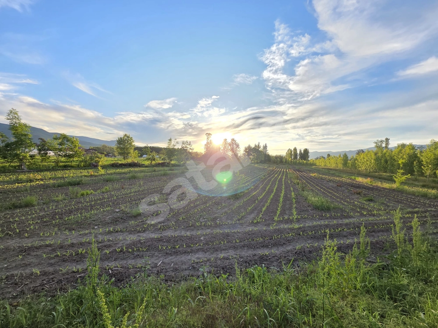 6775 m2 YOL KENARI SATILIK FIRSAT TARLA
