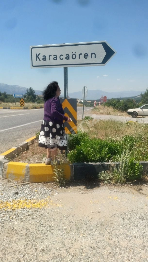 KARACASU KARACAÖREN'de 30 DÖNÜM ZEYTİNLİK
