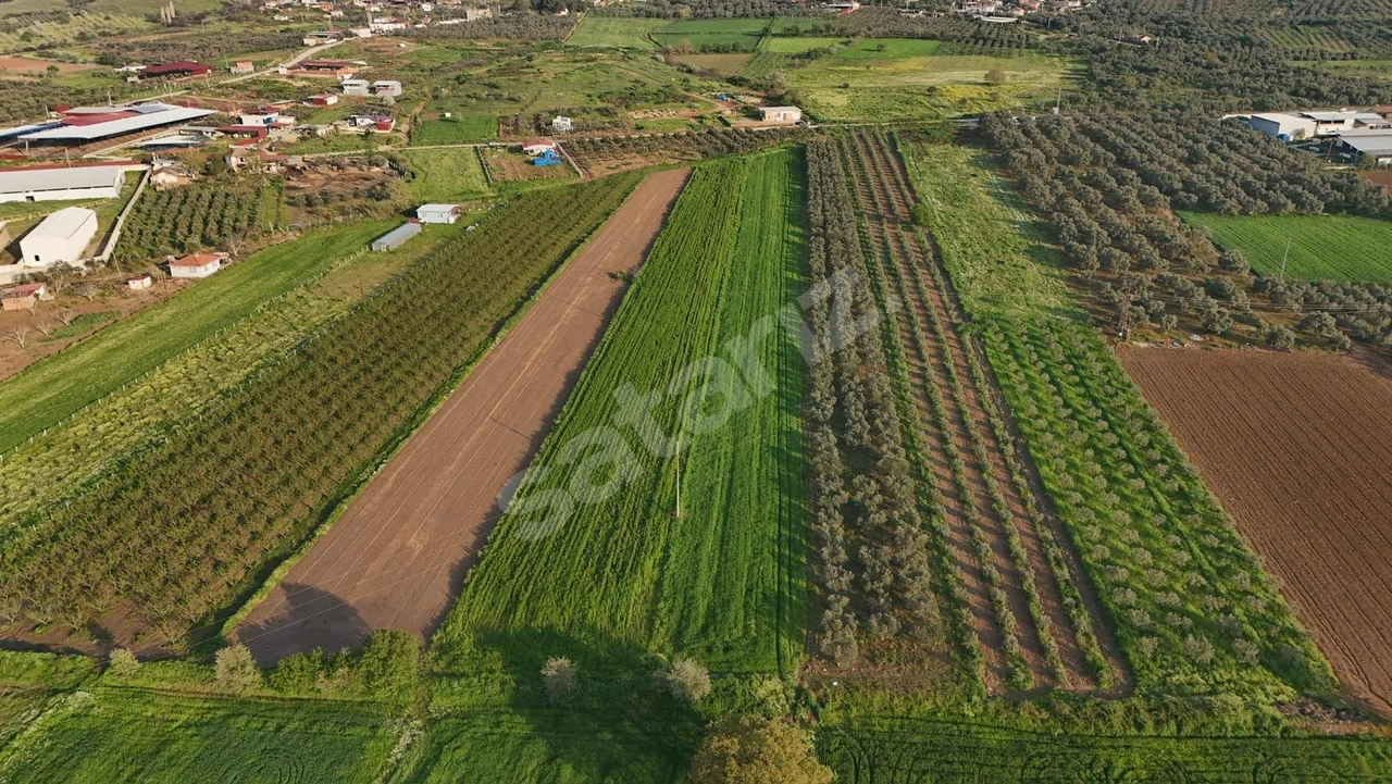 PEK EMLAKTAN TİRE ALACALIDA 6050 m2 SATILIK KÖY YAKINI TARLA