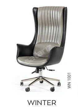 AKBÜRO WİNTER MÜDÜR KOLTUĞU