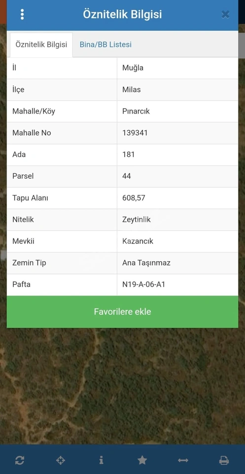 MUĞLA MİLAS PINARCIK MAHALLESİNDE SATILIK ZEYTİNLİK