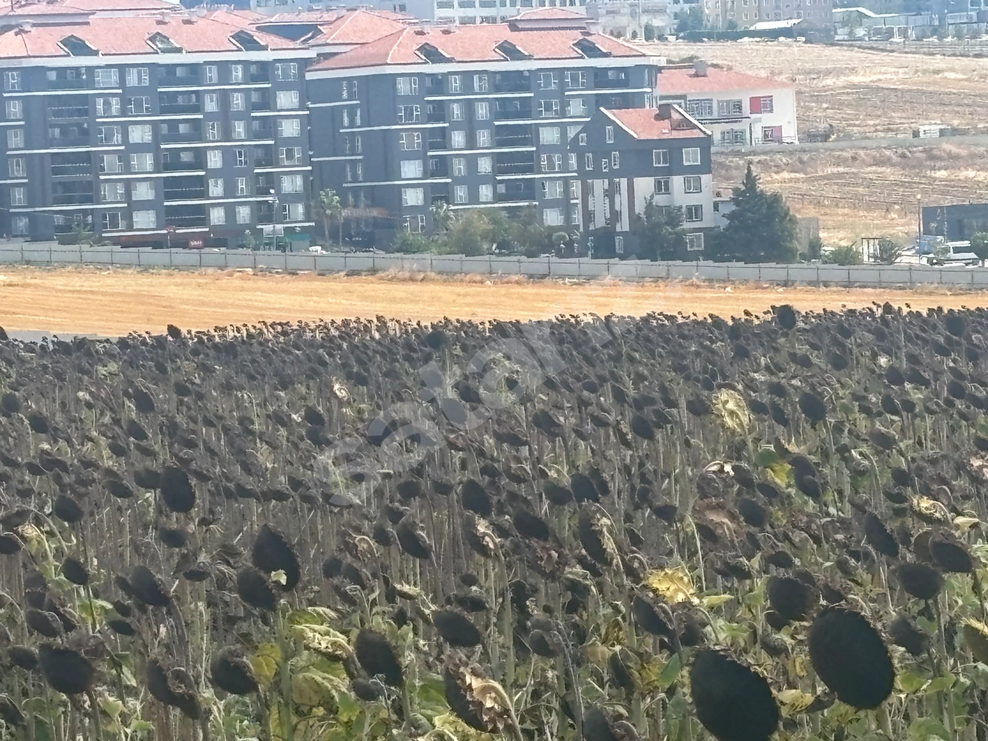 SİLİVRİ YENİ MAHALEDE KAT KARŞILIĞI TİCARİ+KONUT İMARLI ARSA