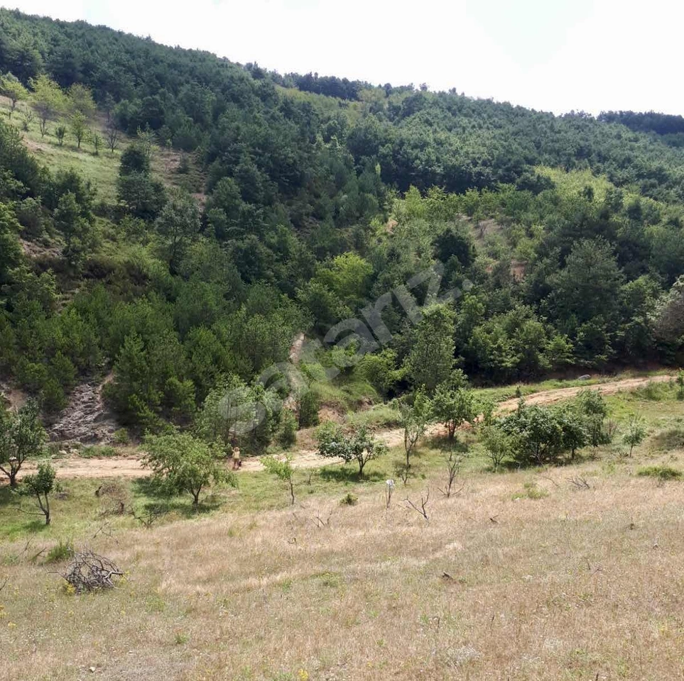 Rw Nova'dan Resmi Yolu Mevcut 13 dönüm Satılık Arazi