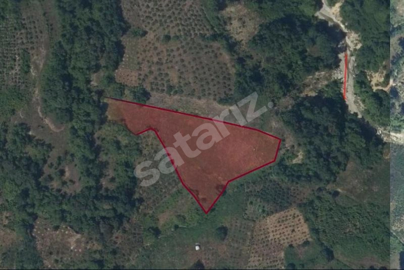 6.782 M2 YATIRIMLIK TARLA Daire Takasına AÇIK