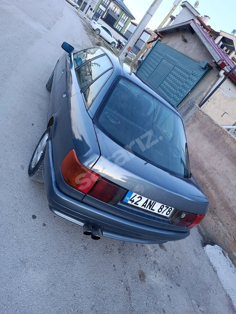 Yumurta Kasa Audi