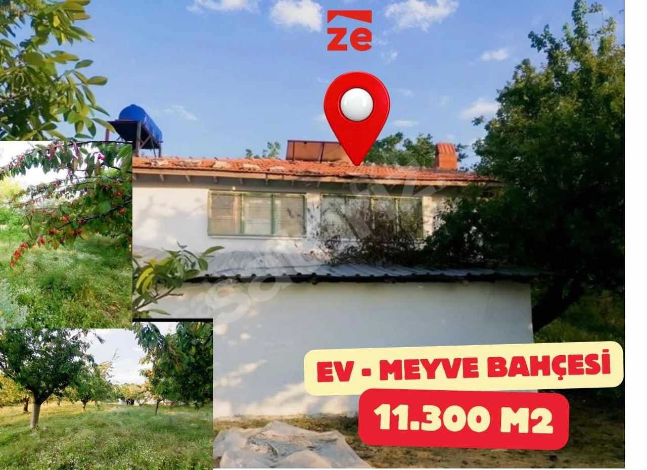 Çarşambaya Kadar Fırsat Plan Savaştepede 11.317 M2 Meyve Bahçesi