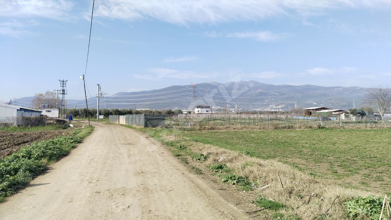 Yol, Su, Elektrik hepsi önünde boş tarla