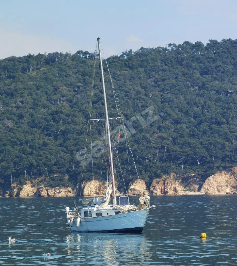Yelken Eğitimi