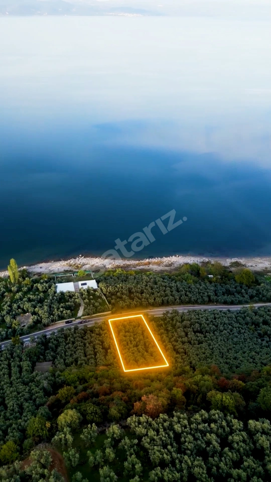 KALEDEN NARLICADA ASFALT CEPHELİ GÖLE 50mt MANZARALI ZEYTİNLİK