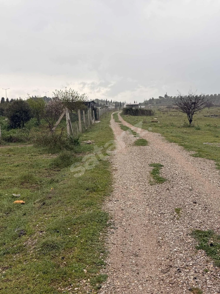 PANÇAR DA FIRSAT ARAZİ