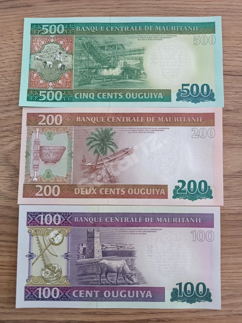 Koleksiyon Para