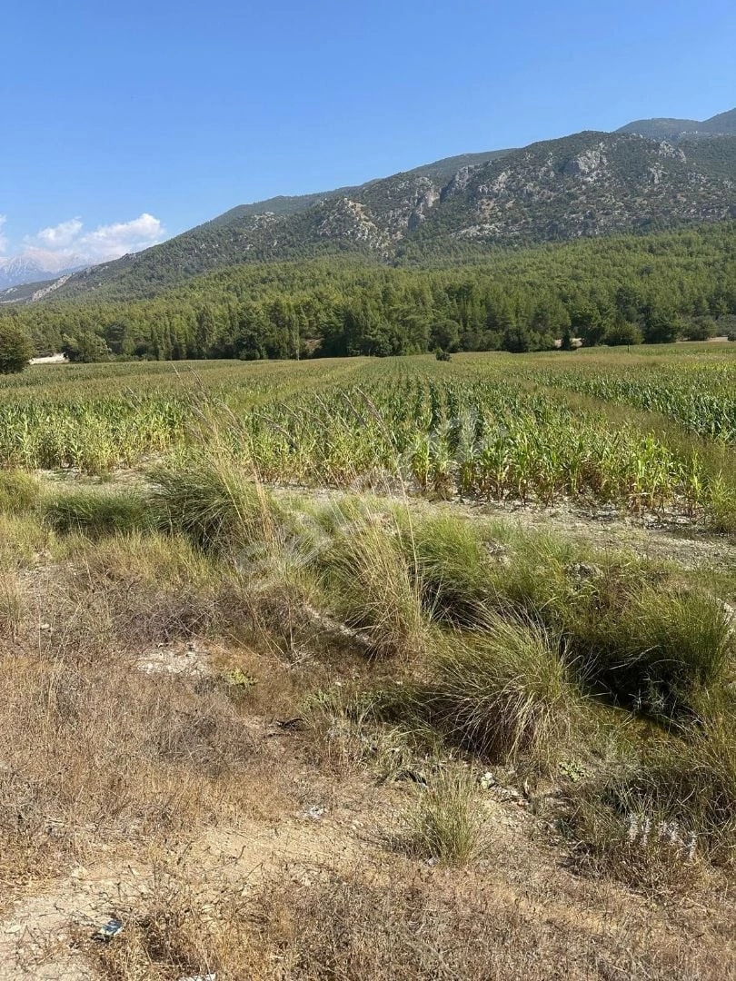 Kaş Sahil Paşamutta Satılık Kelepir