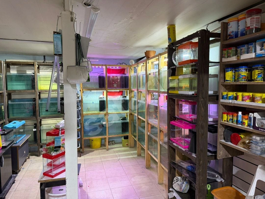 İş Yoğunluğu Nedeniyle  Devren Kiralık Petshop