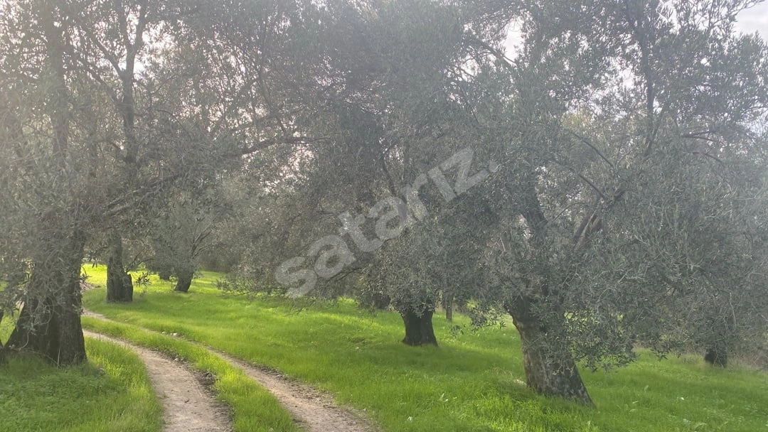 Yol Kenarı Müstakil