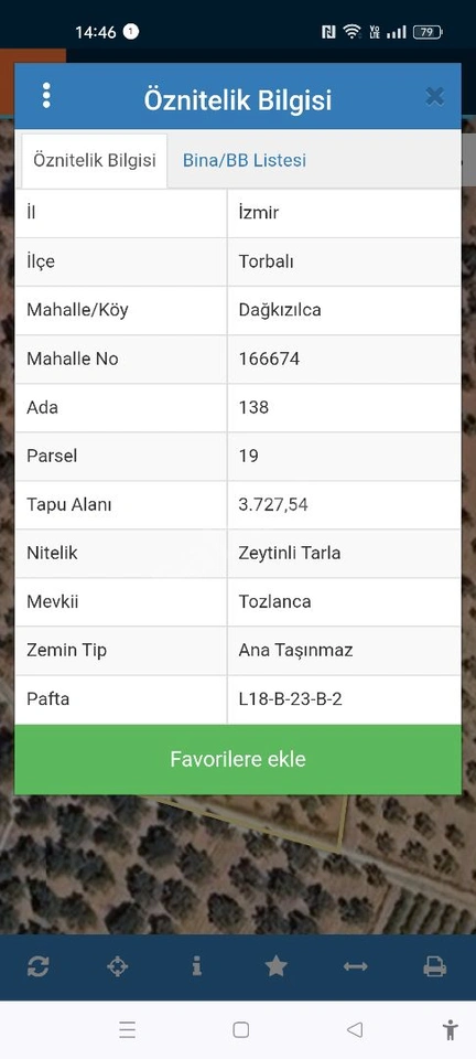 TORBALI'DA UYGUN ZEYTİNLİK