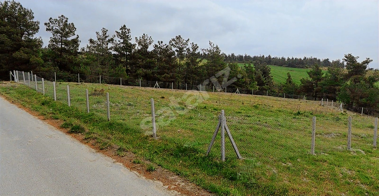 Geyve Sekiharmanda 1.865 m² Satılık Yola Cepheli Tarla