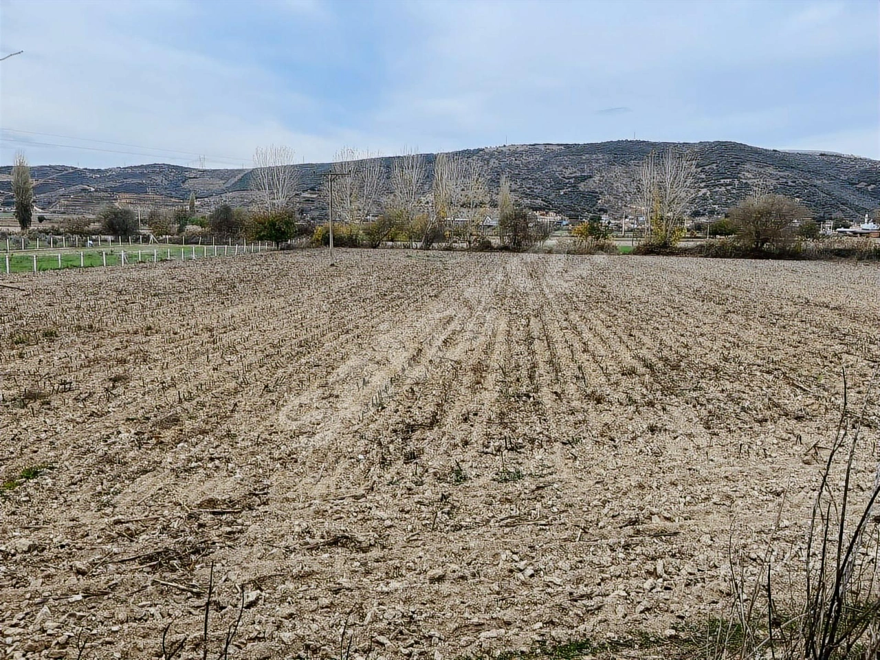 PEK EMLAKTAN TİRE KURŞAKTA 13,300 m2 SATILIK 3 TAPULU TARLA