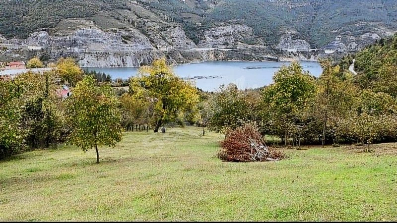 ARTVİN BORÇKADA TEK HİSSELİ SATILIK TARLA/FINDIK BAHÇESİ
