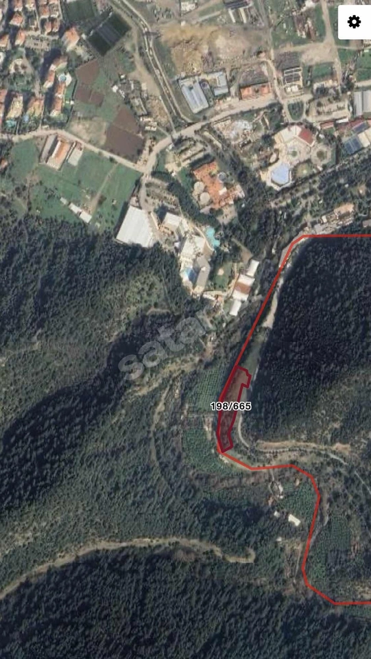 Turpa Balçovadan Kaçırılmaz Yatırım Fırsatı Satılık Zeytinlik