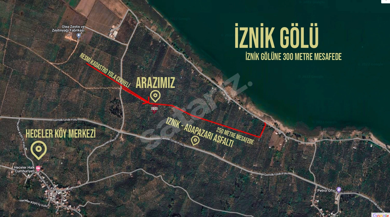 KALEDEN HECELERDE RESMİ YOLA CEPHELİ 1335m² GÖLE YAKIN ZEYTİNLİK