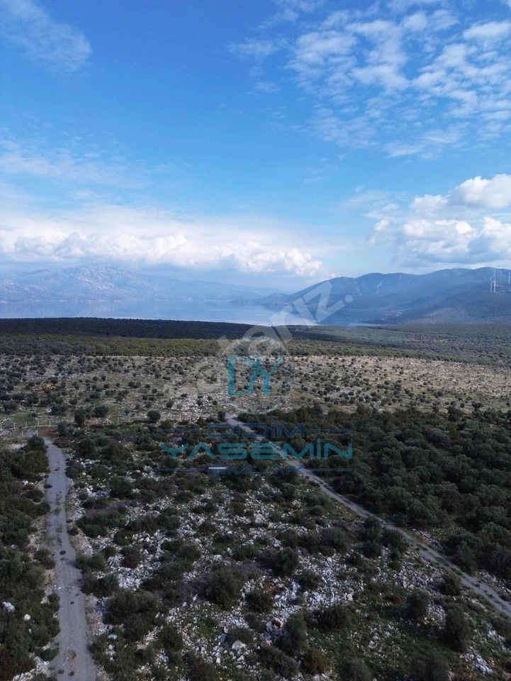 BAFA GÖLÜ MANZARALI SATILIK ARSA