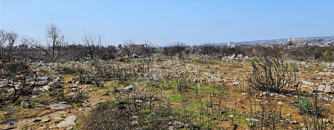 DİDİM SATILIK ARSA 1.980.000 AKYENİKÖY MAH BALOVA