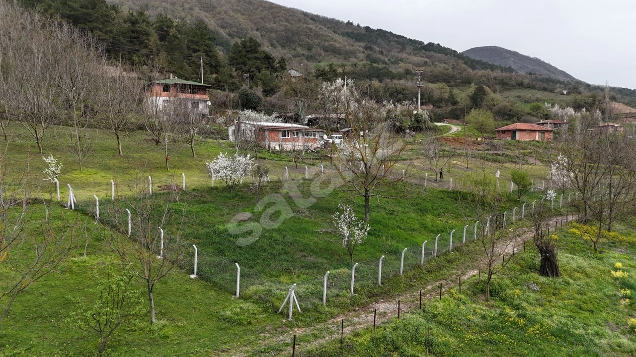 ACİLİYETTEN GEYVE AKINCI 1147M2 %40İMARLI MANZARALI FIRSAT ARSA