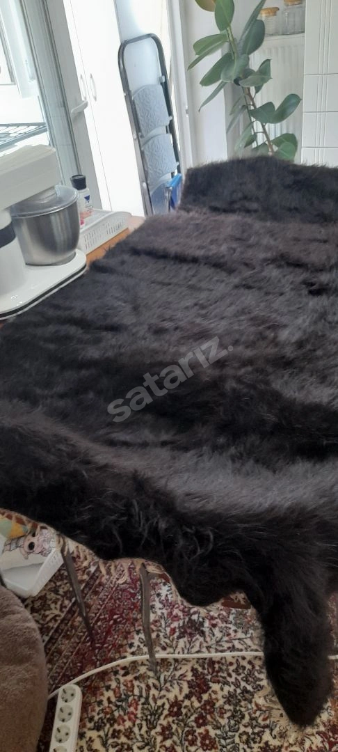 Uşak Yörük Kilim Keçi Kılı Siyah Antika Çok Eskidir 2.7 Mt