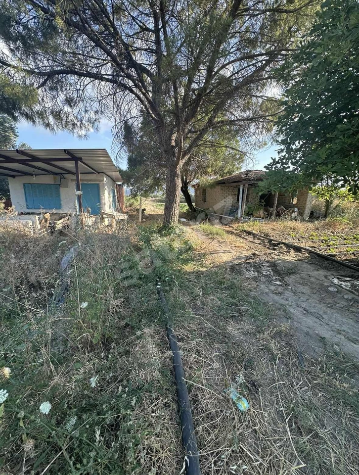 MANİSA EVRENOS MAH. SATILIK 8460 m2 EKİLİ BAĞ