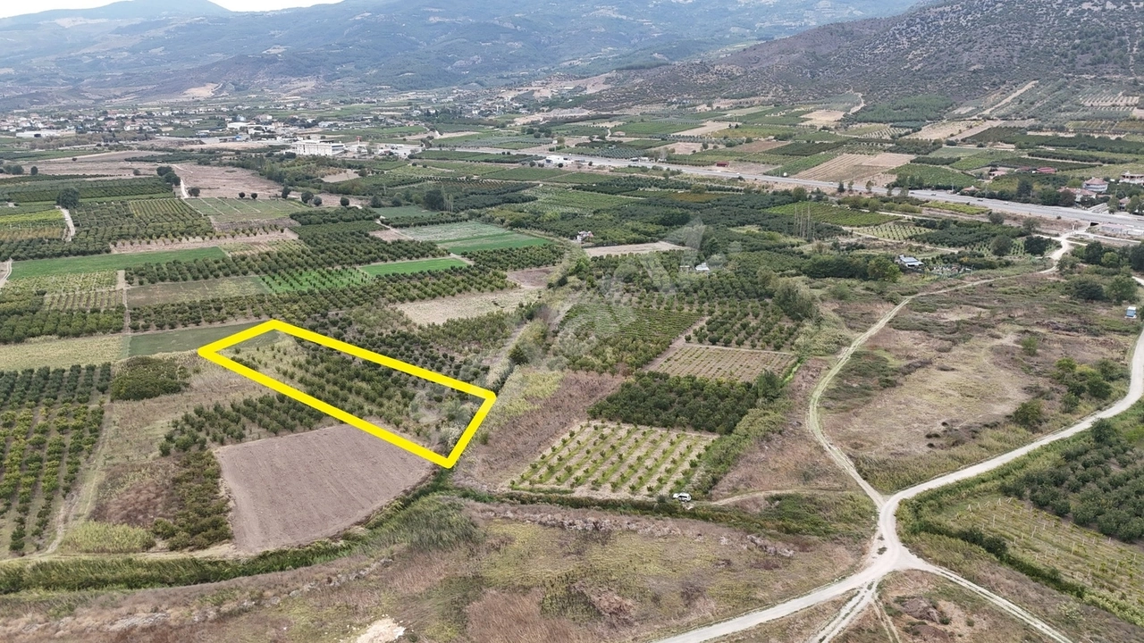 D650 KARAYOLUNA 500MT MESAFEDE SULAMA KANALNA CEPHE AYVA BAHÇESİ