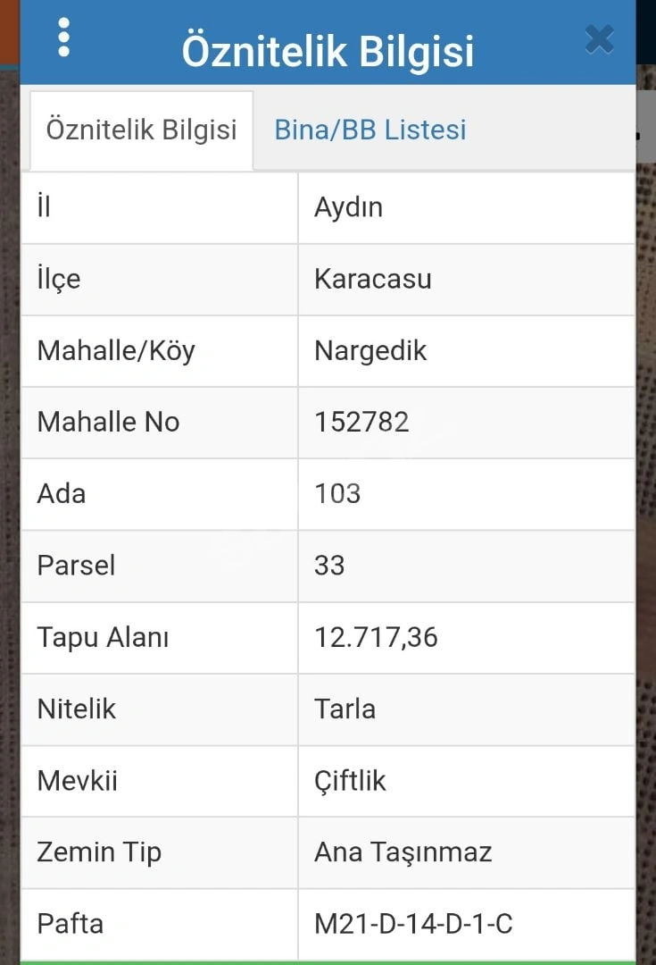 KARACASU NARGEDİK'te ZEYTİNLİK