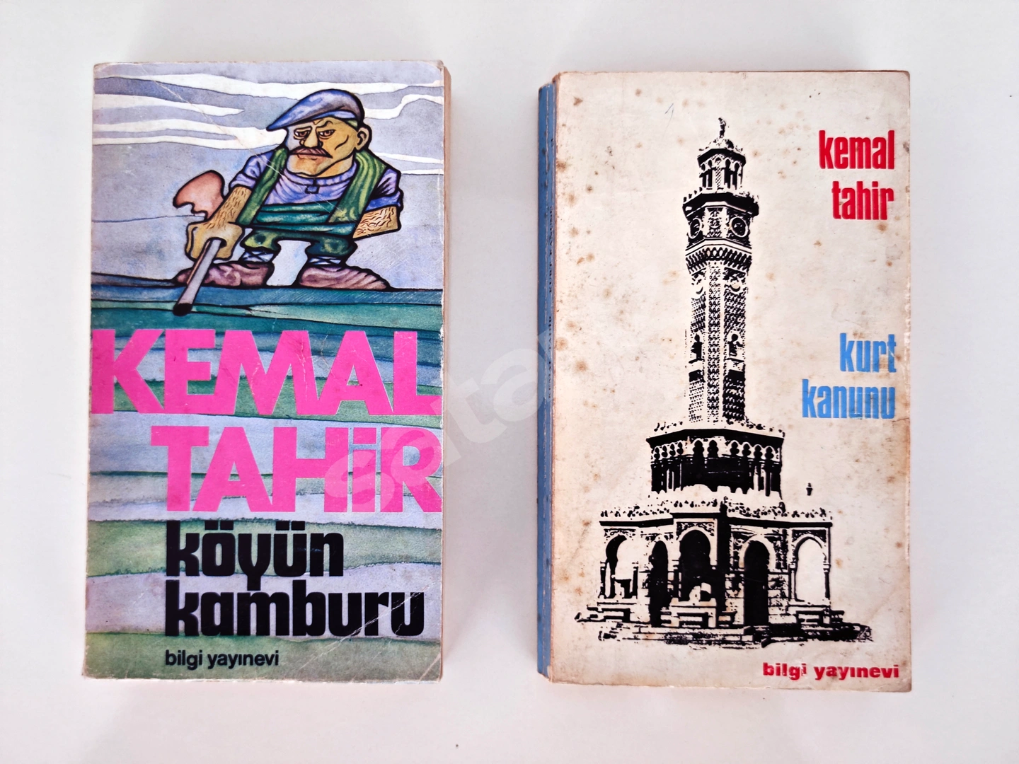 Kurt Kanunu & Köyün Kamburu – Kemal Tahir