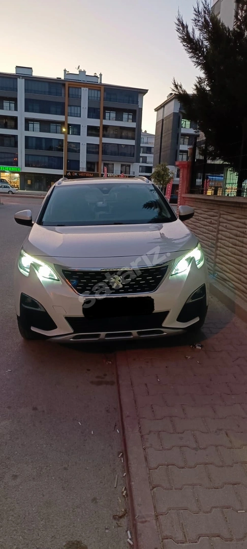 CAM TAVAN + HAYALET + GRIP CONTROL TERTEMİZ 3008 ALLURE ELEGANCE