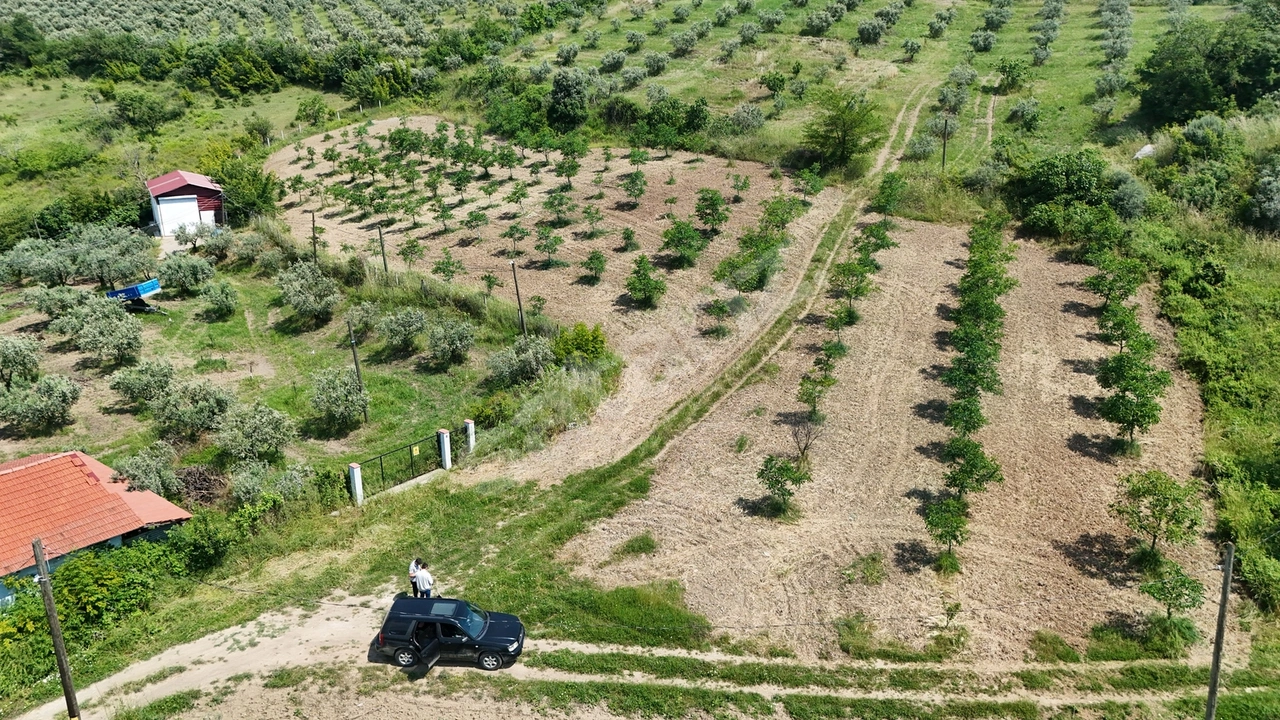 SAKARYA EŞME 4454 M2 380 WATT ELEKTRİK ŞEBEKE SU VE KUYU SUYU