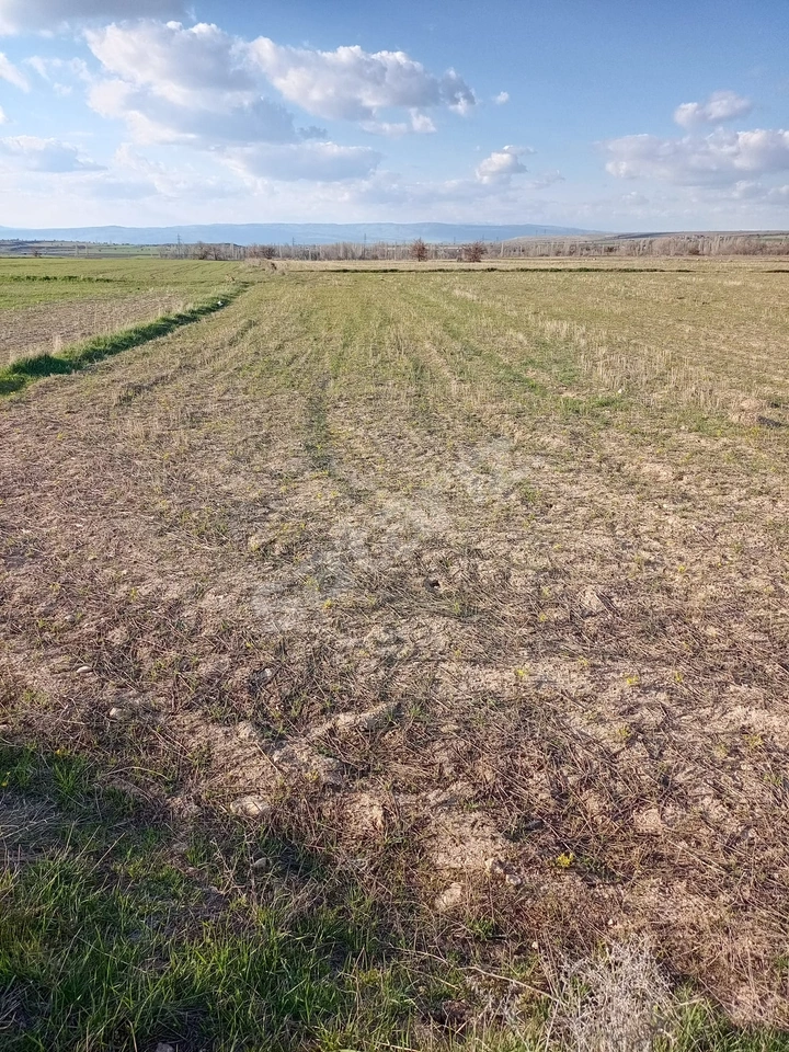 GÜRPINAR'DA 258 M2 ANAYOLA SIFIR SATILIK TARLA