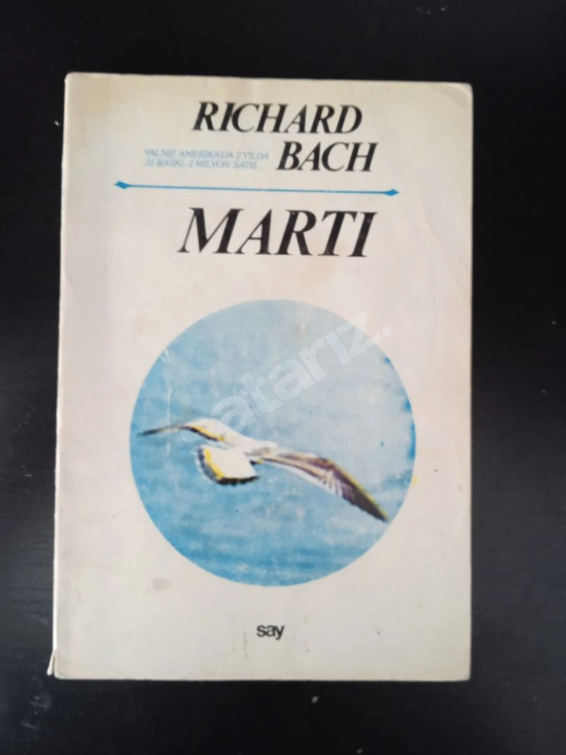 Martı Richard Bach
