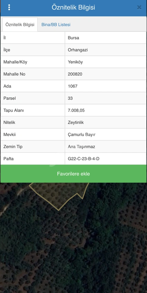 ORAHANGAZİ YENİKÖY DE GÖL MAZARALI