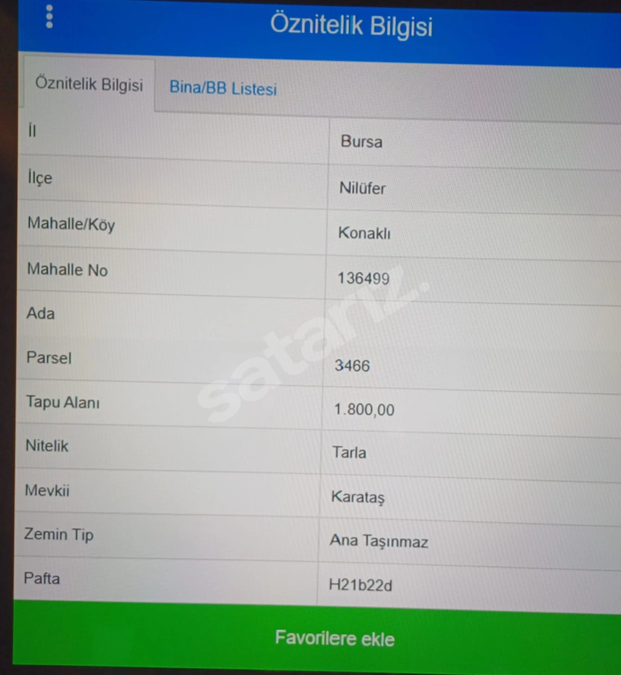 KONAKLI'DA SATILIK ZEYTİNLİK