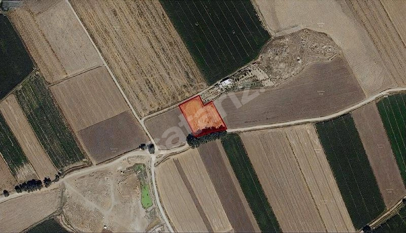 KAYSERİ KOCASİNAN/YAZIRDA SATILIK TARLA