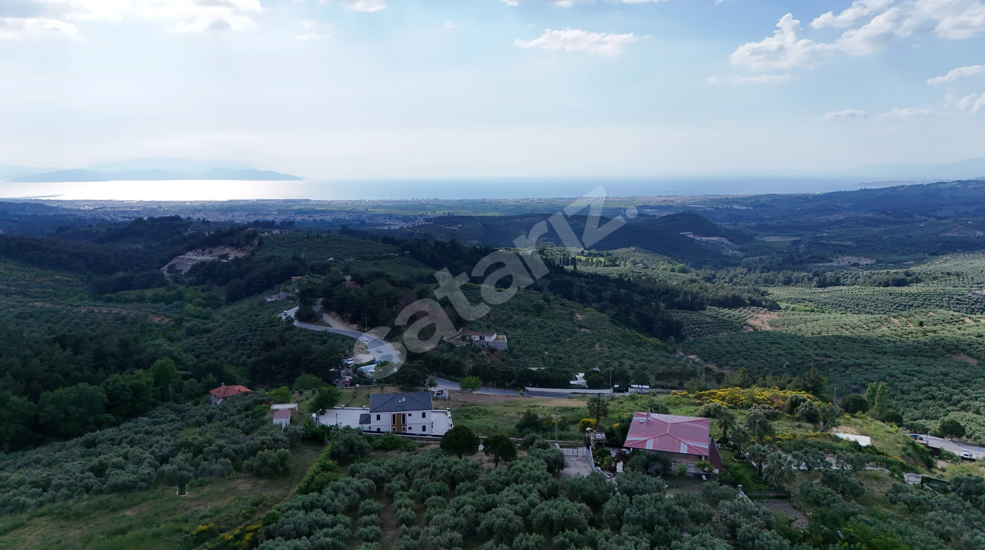 Söke Ağaçlı’Da Panoramik Deniz Manzaralı Zeytinlik Ve Bağ