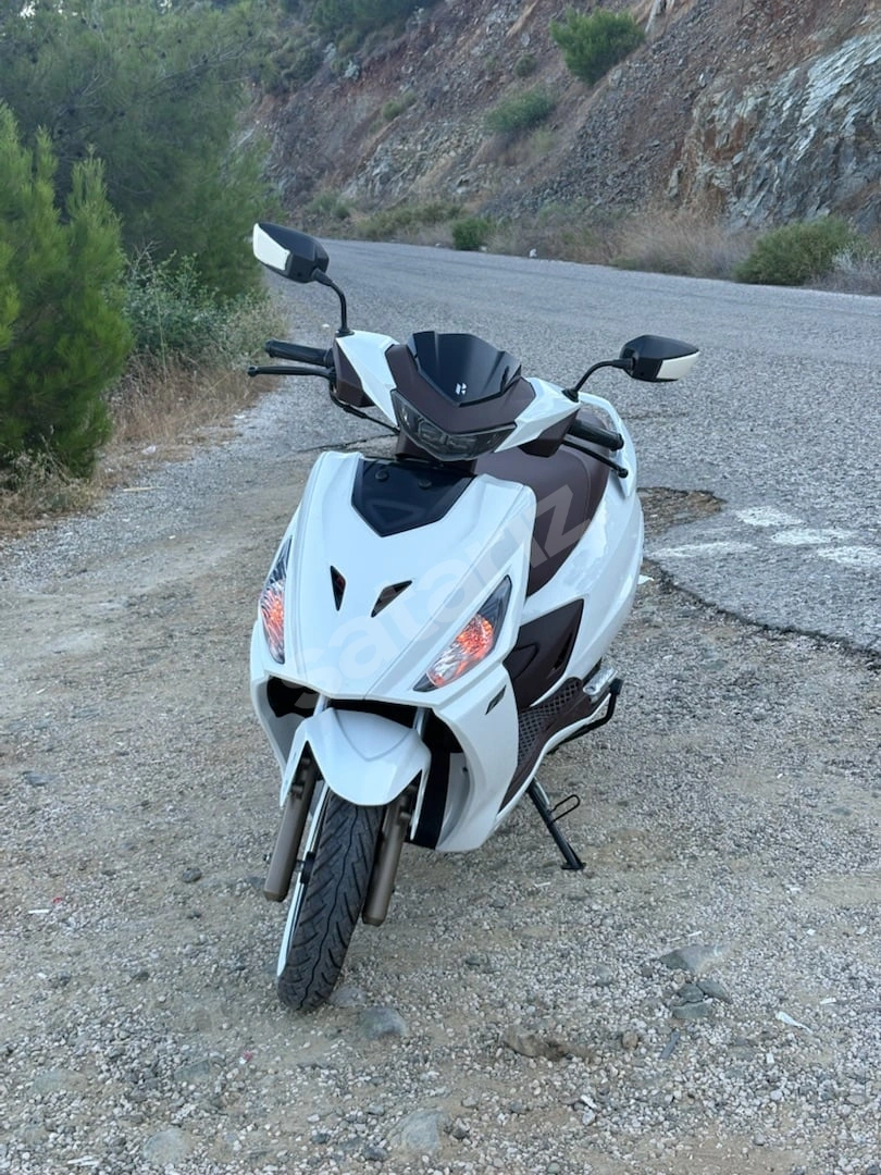 Cincik Gibi
