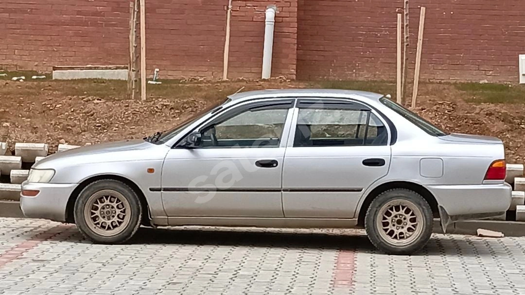 Tertemiz Dosta