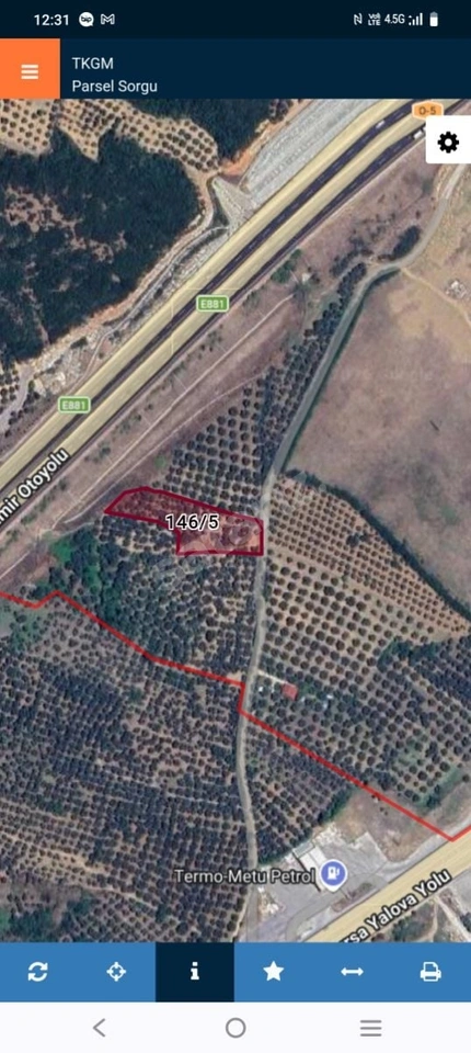 Yol cepheli Zeytinlik bahçe
