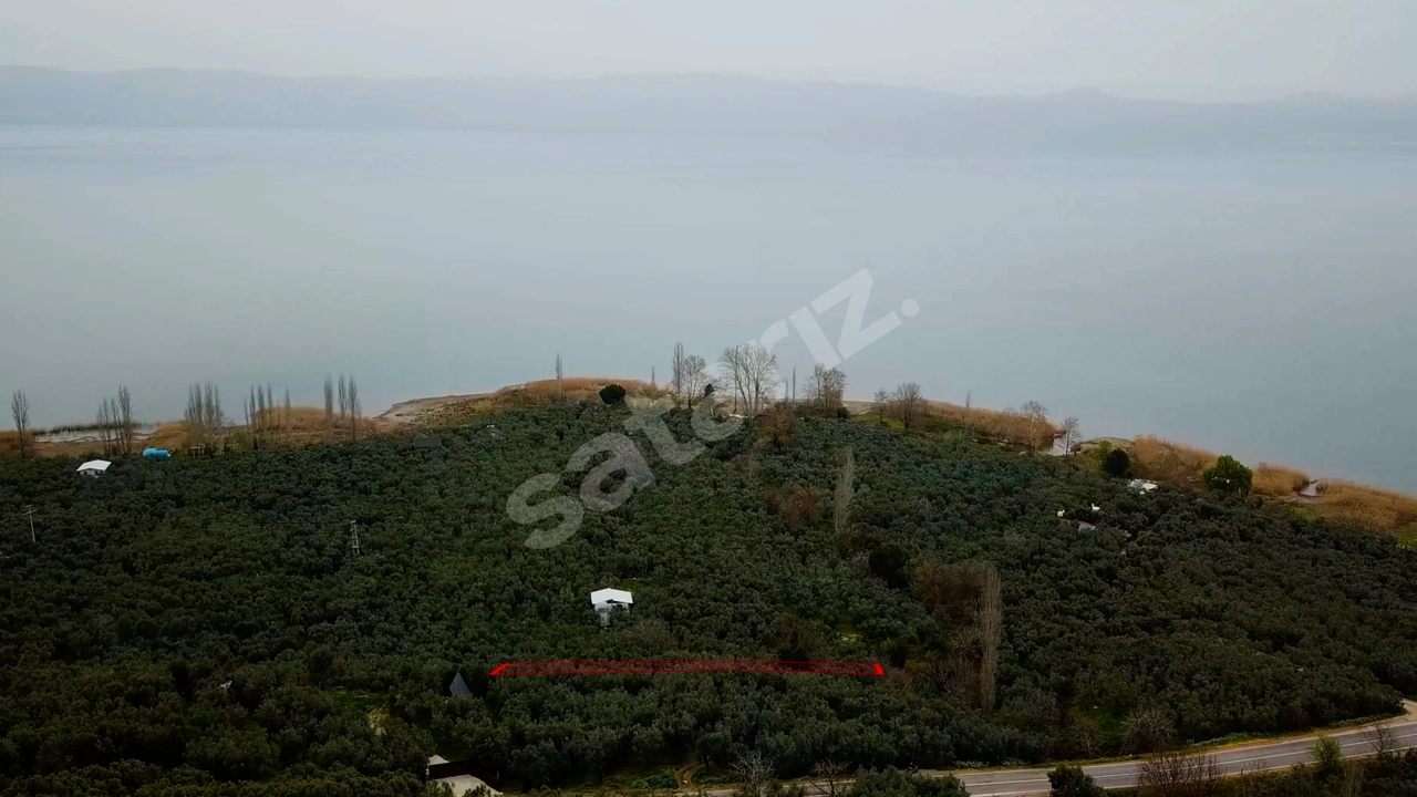 KALEDEN NARLICADA 1119m² EŞSİZ GÖL MANZARALI BAKIMLI ZEYTİNLİK