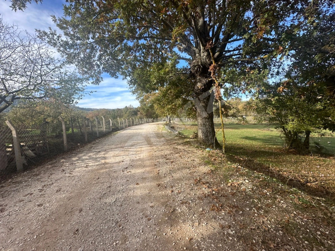 KALE YATIRIMDAN FINDIKLI'DA YOL CEPHELİ DOĞANIN İÇİNDE 1.794m²
