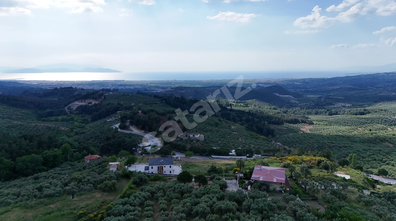 Söke Ağaçlı’Da Panoramik Deniz Manzaralı Zeytinlik Ve Bağ