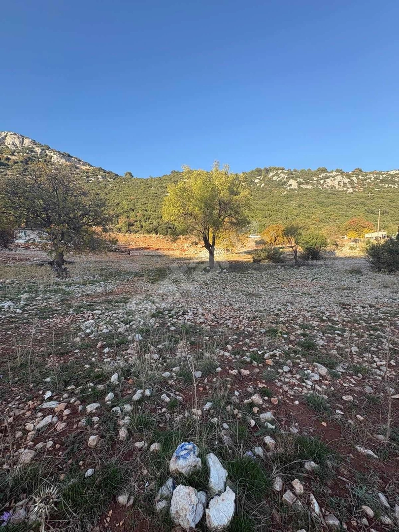KAŞ GÖKÇEÖREN'DE 2510 M2 SATILIK TARLA