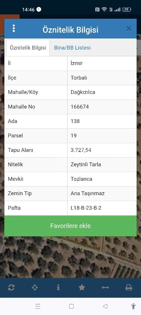 TORBALI'DA UYGUN ZEYTİNLİK